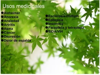 Usos medicinales ● Alzheimer ● Anorexia ● Ansiedad ● Artritis ● Asma ● Cáncer ● Depresión   ● Dolor de espalda ● Esclerosis múltiple ● Epilepsia ● Insomnio ● Paraplejia y tetraplejia ● SIDA/VIH 
