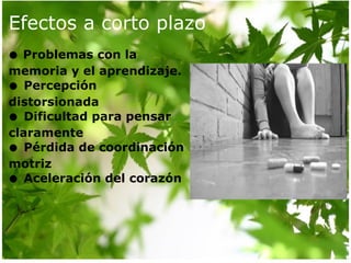 Efectos a corto plazo ●   Problemas con la memoria y el aprendizaje. ●  Percepción distorsionada  ●  Dificultad para pensar claramente  ●  Pérdida de coordinación motriz  ●  Aceleración del corazón 