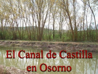 El Canal de Castilla
en Osorno
 