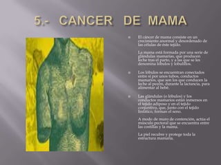 5.-   CANCER   DE  MAMAEl cáncer de mama consiste en un crecimiento anormal y desordenado de las células de éste tejido. La mama está formada por una serie de glándulas mamarias, que producen leche tras el parto, y a las que se les denomina lóbulos y lobulillos.Los lóbulos se encuentran conectados entre sí por unos tubos, conductos mamarios, que son los que conducen la leche al pezón, durante la lactancia, para alimentar al bebé. Las glándulas (o lóbulos) y los conductos mamarios están inmersos en el tejido adiposo y en el tejido conjuntivo, que, junto con el tejido linfático, forman el seno. A modo de muro de contención, actúa el músculo pectoral que se encuentra entre las costillas y la mama. La piel recubre y protege toda la estructura mamaria.