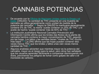 CANNABIS POTENCIAS
 De acuerdo con la Oficina de Naciones Unidas contra la Droga y el
Delito (ONUDD) “la cantidad de THC presente en una muestra de
cannabis se utiliza generalmente como unidad de medida de la
potencia del cannabis”.36 Según la ONUDD la marihuana generalmente
contiene 5% de THC, la resina “puede contener un 20% de THC” y el
aceite de hachís “puede contener más de 60% de THC”.36
 La institución australiana Nacional Cannabis Prevención and
Información Centre afirma que los brotes (las flores) de la planta de
cannabis hembra contiene la mayor concentración de THC, seguido
por las hojas. Los tallos y las semillas tienen "niveles de THC mucho
más bajos ".37 La ONU afirma que las hojas pueden contener diez
veces menos THC que los brotes y tallos unas cien veces menos
cantidad de THC.36
 Algunos analistas advierten que mientras mayor es la potencia del
cannabis, mayor es el riesgo para la salud, pero otros han señalado
que los usuarios aprenden fácilmente a compensar disminuyendo sus
dosis, previniendo los peligros de fumar como golpes de calor o el
monóxido de carbono.
 