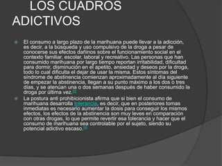 LOS CUADROS
ADICTIVOS
 El consumo a largo plazo de la marihuana puede llevar a la adicción,
es decir, a la búsqueda y uso compulsivo de la droga a pesar de
conocerse sus efectos dañinos sobre el funcionamiento social en el
contexto familiar, escolar, laboral y recreativo. Las personas que han
consumido marihuana por largo tiempo reportan irritabilidad, dificultad
para dormir, disminución en el apetito, ansiedad y deseos por la droga,
todo lo cual dificulta el dejar de usar la misma. Estos síntomas del
síndrome de abstinencia comienzan aproximadamente al día siguiente
de empezar la abstinencia, llegan a su punto máximo a los dos o tres
días, y se atenúan una o dos semanas después de haber consumido la
droga por última vez.55
 La postura anti prohibicionista afirma que si bien el consumo de
marihuana desarrolla tolerancia, es decir, que en posteriores tomas
inmediatas es necesario aumentar la dosis para conseguir los mismos
efectos, los efectos de la abstinencia son muy leves en comparación
con otras drogas, lo que permite revertir esa tolerancia y hacer que el
consumo de marihuana sea controlable por el sujeto, siendo su
potencial adictivo escaso.56
 