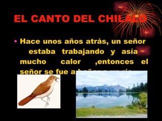 EL CANTO DEL CHILALO Hace unos años atrás, un señor  estaba trabajando y asía  mucho  calor  ,entonces el señor se fue a bañar a un río 