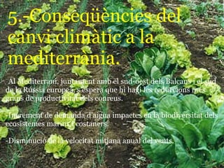 5.-Conseqüències del
canvi climàtic a la
mediterrània.
-Al Mediterrani, juntament amb el sud-oest dels Balcans i el sud
de la Rússia europea, s’espera que hi hagi les reduccions més
grans de productivitat dels conreus.

-Increment de demanda d’aigua impactes en la biodiversitat dels
ecosistemes marins i costaners.

-Disminució de la velocitat mitjana anual del vents.
 