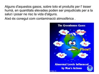 Alguns d'aquestos gasos, sobre toto el produïts per l' èsser
humà, en quantitats elevades poden ser prejudicials per a la
salut i posar ne risc la vida d'alguns.
Aixó és conegut com contaminació atmosfèrica .
 