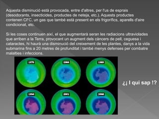 Aquesta disminució està provocada, entre d'altres, per l'us de esprais
(desodorants, insecticides, productes de neteja, etc.). Aquests productes
contenen CFC, un gas que també està present en els frigorífics, aparells d'aire
condicionat, etc.
Si les coses continuen així, el que augmentarà seran les radiacions ultraviolades
que arriben a la Terra, provocant un augment dels càncers de pell, ceguesa i
cataractes, hi haurà una disminució del creixement de les plantes, danys a la vida
submarina fins a 20 metres de profunditat i també menys defenses per combatre
malalties i infeccions.
¿¡ I qui sap !?
 