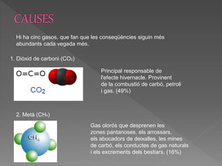 Hi ha cinc gasos, que fan que les conseqüències siguin més
abundants cada vegada més.
1. Diòxid de carboni (CO2)
Principal responsable de
l'efecte hivernacle. Provinent
de la combustió de carbó, petroli
i gas. (49%)
2. Metà (CH4)
Gas olorós que desprenen les
zones pantanoses, els arrossars,
els abocadors de deixalles, les mines
de carbó, els conductes de gas naturals
i els excrements dels bestiars. (16%)
 