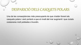 DESPARICIÓ DELS CASQUETS POLARS
Una de les conseqüències més preocupants és que s’están fonent els
casquets polars i això portarà a que el nivell del mar augmenti i que ciutats
costaneres molt poblades s’inundin.
 
