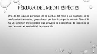 PÈRDUA DEL MEDI I ESPÈCIES
Una de les causes principals de la pèrdua del medi i les espècies es la
desforestació massiva, generalment per fer-hi camps de conreu. També hi
ha un fenomen metereològic que provoca la desaparició de espècies ja
que destrueix el seu habitat; la pluja àcida.
 