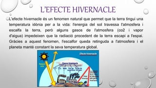 L’EFECTE HIVERNACLE
L'efecte hivernacle és un fenomen natural que permet que la terra tingui una
temperatura idònia per a la vida: l'energia del sol travessa l'atmosfera i
escalfa la terra, però alguns gasos de l'atmosfera (co2 i vapor
d'aigua) impedeixen que la radiació procedent de la terra escapi a l'espai.
Gràcies a aquest fenomen, l'escalfor queda retinguda a l'atmosfera i el
planeta manté constant la seva temperatura global.
 