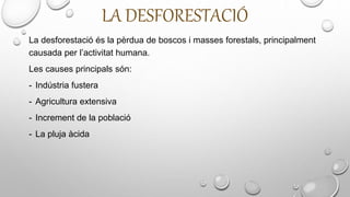 LA DESFORESTACIÓ
La desforestació és la pèrdua de boscos i masses forestals, principalment
causada per l’activitat humana.
Les causes principals són:
- Indústria fustera
- Agricultura extensiva
- Increment de la població
- La pluja àcida
 
