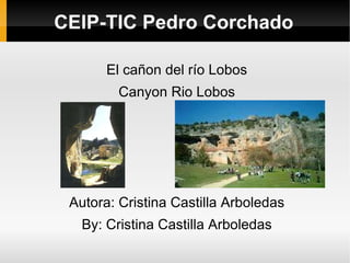 CEIP-TIC Pedro Corchado ,[object Object]