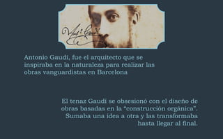 Antonio Gaudí, fue el arquitecto que se 
inspiraba en la naturaleza para realizar las 
obras vanguardistas en Barcelona 
El tenaz Gaudí se obsesionó con el diseño de 
obras basadas en la “construcción orgánica”. 
Sumaba una idea a otra y las transformaba 
hasta llegar al final. 
 