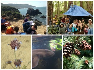 El capitan state beach 
