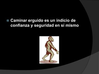    Caminar erguido es un indicio de
    confianza y seguridad en sí mismo
 