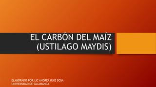 EL CARBÓN DEL MAÍZ
(USTILAGO MAYDIS)
ELABORADO POR:LIC ANDREA RUIZ SOSA
UNIVERSIDAD DE SALAMANCA
 