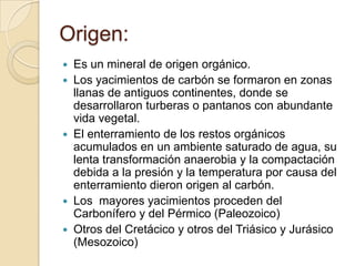 Origen:








Es un mineral de origen orgánico.
Los yacimientos de carbón se formaron en zonas
llanas de antiguos continentes, donde se
desarrollaron turberas o pantanos con abundante
vida vegetal.
El enterramiento de los restos orgánicos
acumulados en un ambiente saturado de agua, su
lenta transformación anaerobia y la compactación
debida a la presión y la temperatura por causa del
enterramiento dieron origen al carbón.
Los mayores yacimientos proceden del
Carbonífero y del Pérmico (Paleozoico)
Otros del Cretácico y otros del Triásico y Jurásico
(Mesozoico)

 