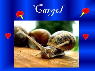 Cargol<3

:-P xD
 