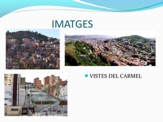 IMATGES
VISTES DEL CARMEL
 