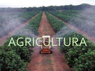 AGRICULTURA
 