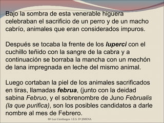 Bajo la sombra de esta venerable higuera celebraban el sacrificio de un perro y de un macho cabrío, animales que eran considerados impuros.  Después se tocaba la frente de los  luperci  con el cuchillo teñido con la sangre de la cabra y a continuación se borraba la mancha con un mechón de lana impregnada en leche del mismo animal.  Luego cortaban la piel de los animales sacrificados en tiras, llamadas  februa , (junto con la deidad sabina  Februo , y el sobrenombre de Juno  Februalis   (la que purifica) , son los posibles candidatos a darle nombre al mes de Febrero.  Mª Luz Cienfuegos  I.E.S. Dª JIMENA 