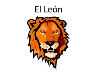 El  León 