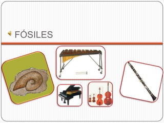 FÓSILES
 