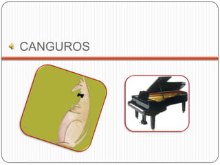 CANGUROS
 