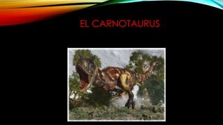 EL CARNOTAURUS
 