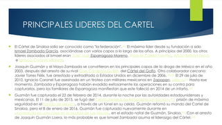 EL CARTEL DE SINALOA.pptx narcotrafico en mexico | PPTX