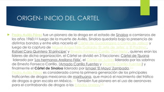 EL CARTEL DE SINALOA.pptx narcotrafico en mexico | PPTX