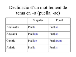 Declinació d’un mot femení de tema en –a (puella, -ae) Puell is Puell a Ablatiu Puell arum Puell ae Genitiu Puell as Puell am Acusatiu Puell ae Puell a Nominatiu Plural Singular 