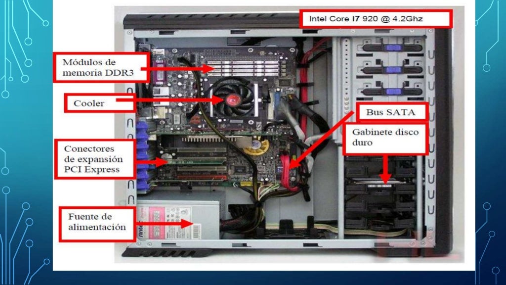 El case y sus partes