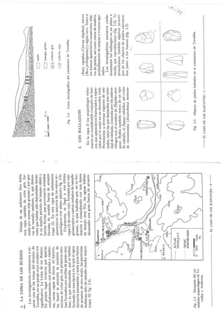El caso de los elefantes.