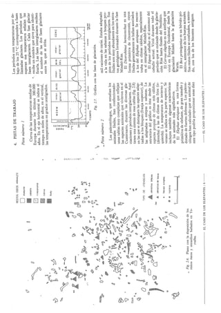 El caso de los elefantes.