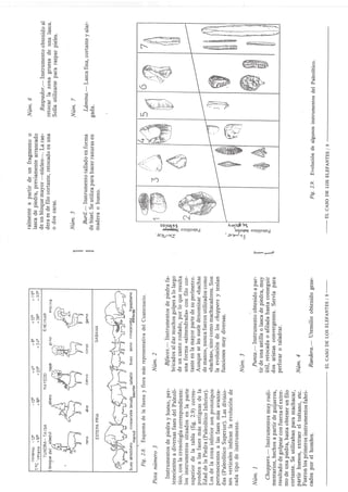 El caso de los elefantes.