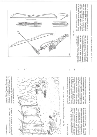 El caso de los elefantes.