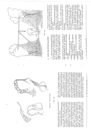 El caso de los elefantes.