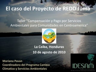El caso del Proyecto de REDD Juma
        Taller “Compensación y Pago por Servicios
     Ambientales para Comunidades en Centroamerica”




                      La Ceiba, Honduras
                     10 de agosto de 2010

Mariana Pavan
Coordinadora del Programa Cambio
Climatico y Servicios Ambientales
 