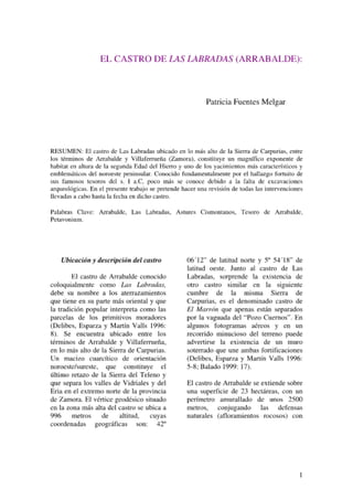 El Castro De Las Labradas (Patricia Fuentes Melgar)