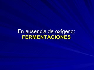 En ausencia de oxígeno: FERMENTACIONES 