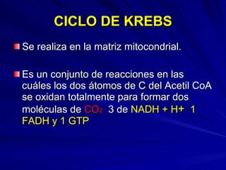 CICLO DE KREBS Se realiza en la matriz mitocondrial. Es un conjunto de reacciones en las cuáles los dos átomos de C del Acetil CoA se oxidan totalmente para formar dos moléculas de  CO 2   3 de  NADH + H +   1 FADH y 1 GTP 