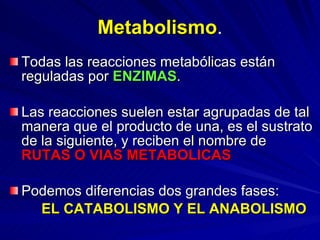 Metabolismo . Todas las reacciones metabólicas están reguladas por  ENZIMAS . Las reacciones suelen estar agrupadas de tal manera que el producto de una, es el sustrato de la siguiente, y reciben el nombre de  RUTAS O VIAS METABOLICAS Podemos diferencias dos grandes fases: EL CATABOLISMO Y EL ANABOLISMO 