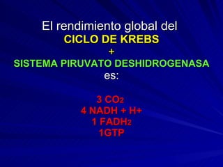 El rendimiento global del   CICLO DE KREBS + SISTEMA PIRUVATO DESHIDROGENASA es: 3 CO 2   4 NADH + H+ 1 FADH 2 1GTP 