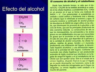 Efecto del alcohol 