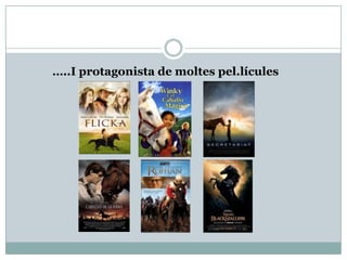 …..I protagonista de moltes pel.lícules
 