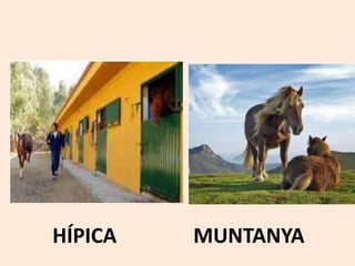 HÍPICA MUNTANYA