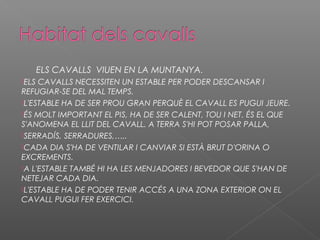 ELS CAVALLS VIUEN EN LA MUNTANYA.
ELS CAVALLS NECESSITEN UN ESTABLE PER PODER DESCANSAR I
REFUGIAR-SE DEL MAL TEMPS.
L'ESTABLE HA DE SER PROU GRAN PERQUÈ EL CAVALL ES PUGUI JEURE.
ÉS MOLT IMPORTANT EL PIS, HA DE SER CALENT, TOU I NET. ÉS EL QUE
S'ANOMENA EL LLIT DEL CAVALL. A TERRA S'HI POT POSAR PALLA,
SERRADÍS, SERRADURES,…..
CADA DIA S'HA DE VENTILAR I CANVIAR SI ESTÀ BRUT D'ORINA O
EXCREMENTS.
A L'ESTABLE TAMBÉ HI HA LES MENJADORES I BEVEDOR QUE S'HAN DE
NETEJAR CADA DIA.
L'ESTABLE HA DE PODER TENIR ACCÉS A UNA ZONA EXTERIOR ON EL
CAVALL PUGUI FER EXERCICI.
 