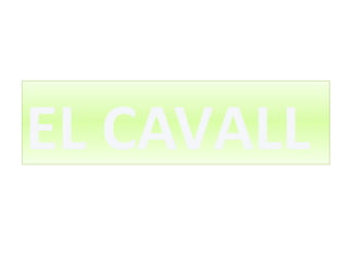 EL CAVALL
 