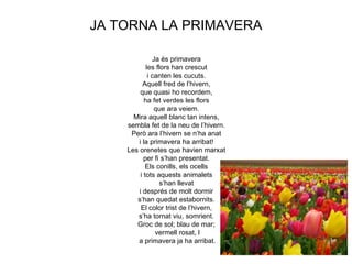 JA TORNA LA PRIMAVERA

               Ja és primavera
            les flors han crescut
             i canten les cucuts.
          Aquell fred de l’hivern,
         que quasi ho recordem,
           ha fet verdes les flors
                que ara veiem.
      Mira aquell blanc tan intens,
    sembla fet de la neu de l’hivern.
     Però ara l’hivern se n’ha anat
        i la primavera ha arribat!
    Les orenetes que havien marxat
           per fi s’han presentat.
            Els conills, els ocells
         i tots aquests animalets
                 s’han llevat
        i després de molt dormir
       s’han quedat estabornits.
         El color trist de l’hivern,
       s’ha tornat viu, somrient.
       Groc de sol; blau de mar;
                vermell rosat, l
       a primavera ja ha arribat.
 